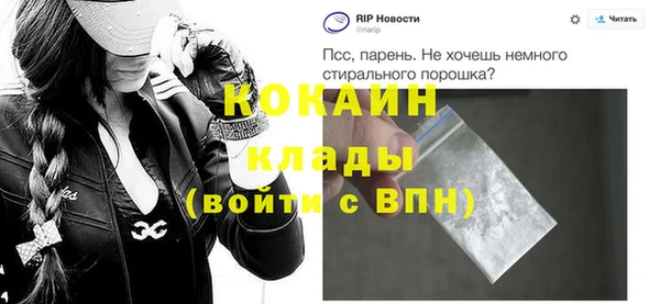 стаф Бородино