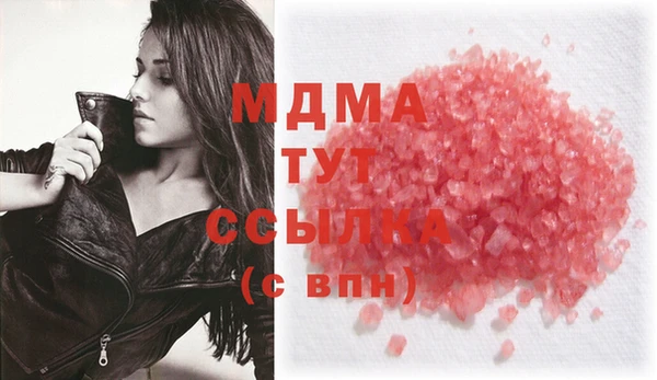 стаф Бородино