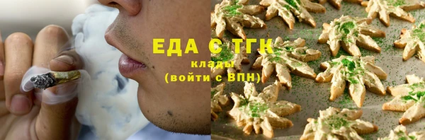 стаф Бородино