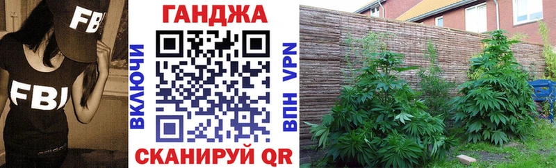 Каннабис семена  закладка  Новосибирск 